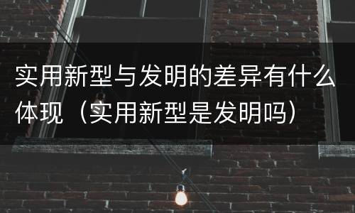 实用新型与发明的差异有什么体现（实用新型是发明吗）