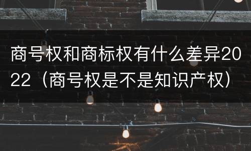 商号权和商标权有什么差异2022（商号权是不是知识产权）