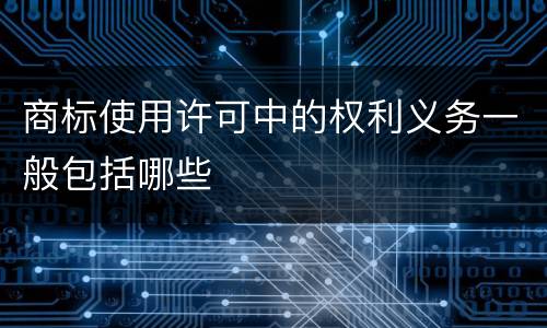 商标使用许可中的权利义务一般包括哪些