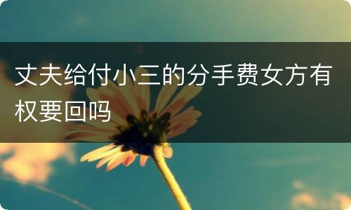 丈夫给付小三的分手费女方有权要回吗