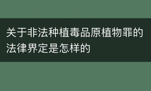 关于非法种植毒品原植物罪的法律界定是怎样的