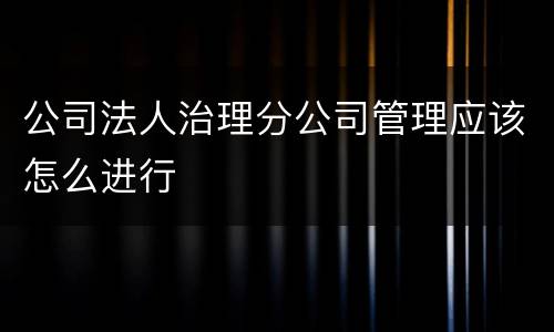 公司法人治理分公司管理应该怎么进行