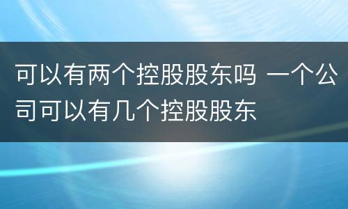 可以有两个控股股东吗 一个公司可以有几个控股股东