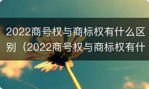 2022商号权与商标权有什么区别（2022商号权与商标权有什么区别呢）