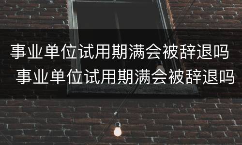 事业单位试用期满会被辞退吗 事业单位试用期满会被辞退吗知乎