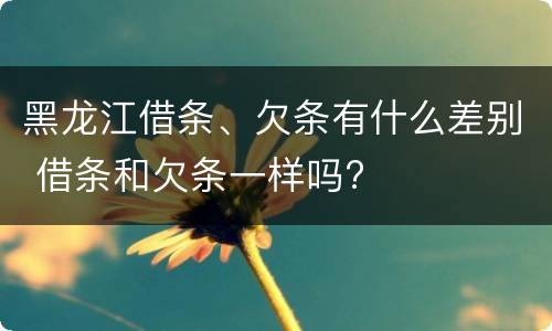 黑龙江借条、欠条有什么差别 借条和欠条一样吗?