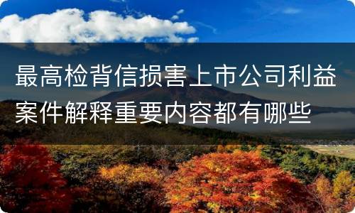 最高检背信损害上市公司利益案件解释重要内容都有哪些