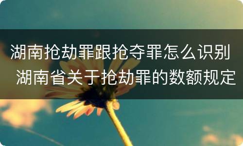 湖南抢劫罪跟抢夺罪怎么识别 湖南省关于抢劫罪的数额规定