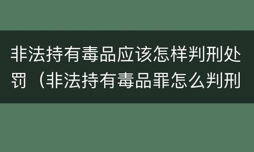 非法持有毒品应该怎样判刑处罚（非法持有毒品罪怎么判刑）