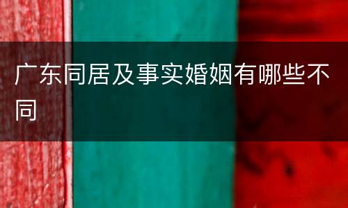 广东同居及事实婚姻有哪些不同