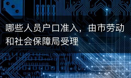 哪些人员户口准入，由市劳动和社会保障局受理
