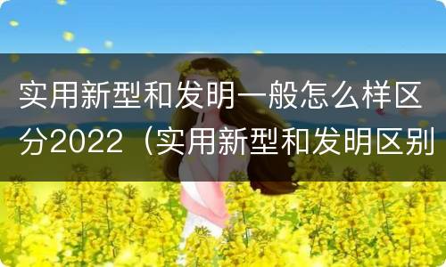 实用新型和发明一般怎么样区分2022（实用新型和发明区别）