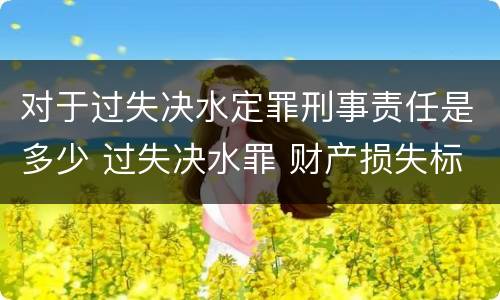 对于过失决水定罪刑事责任是多少 过失决水罪 财产损失标准