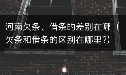河南欠条、借条的差别在哪（欠条和借条的区别在哪里?）