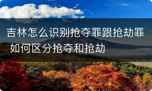 吉林怎么识别抢夺罪跟抢劫罪 如何区分抢夺和抢劫