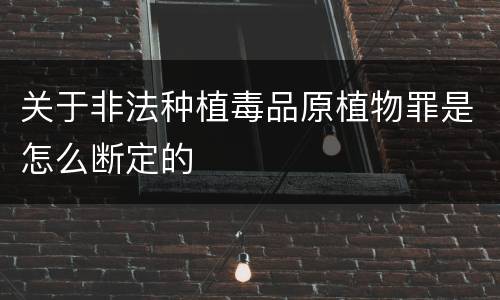 关于非法种植毒品原植物罪是怎么断定的