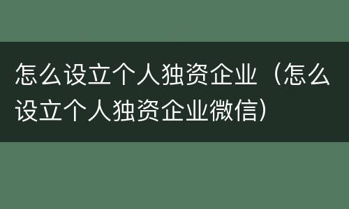 怎么设立个人独资企业（怎么设立个人独资企业微信）