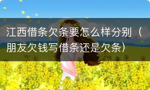江西借条欠条要怎么样分别（朋友欠钱写借条还是欠条）