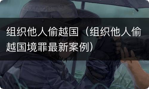 组织他人偷越国（组织他人偷越国境罪最新案例）