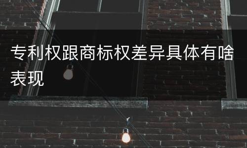 专利权跟商标权差异具体有啥表现