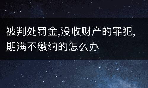 被判处罚金,没收财产的罪犯,期满不缴纳的怎么办