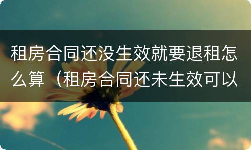 租房合同还没生效就要退租怎么算（租房合同还未生效可以退租吗）