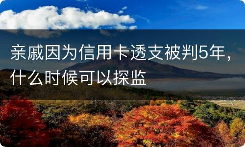 亲戚因为信用卡透支被判5年，什么时候可以探监