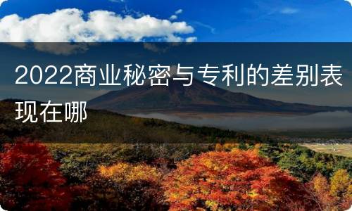 2022商业秘密与专利的差别表现在哪