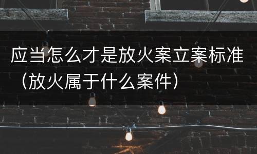 应当怎么才是放火案立案标准（放火属于什么案件）