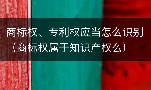 商标权、专利权应当怎么识别（商标权属于知识产权么）