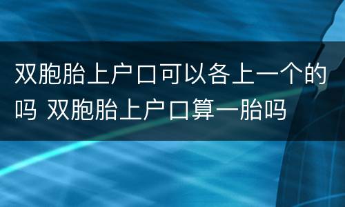 双胞胎上户口可以各上一个的吗 双胞胎上户口算一胎吗