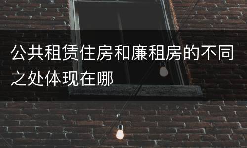 公共租赁住房和廉租房的不同之处体现在哪