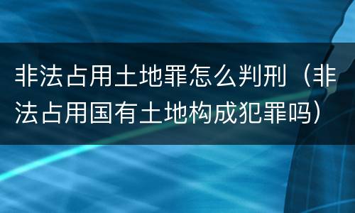 非法占用土地罪怎么判刑（非法占用国有土地构成犯罪吗）