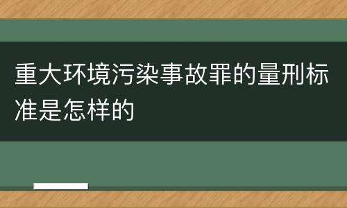 重大环境污染事故罪的量刑标准是怎样的