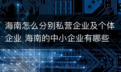 海南怎么分别私营企业及个体企业 海南的中小企业有哪些