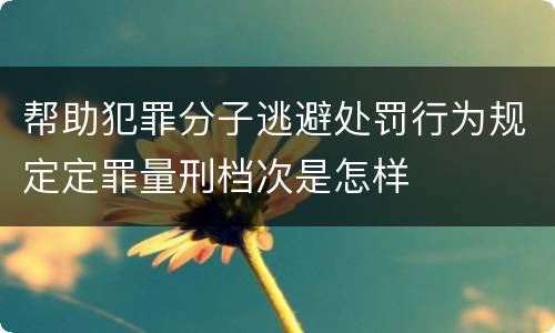 帮助犯罪分子逃避处罚行为规定定罪量刑档次是怎样