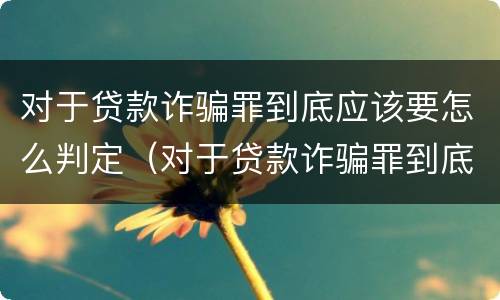 对于贷款诈骗罪到底应该要怎么判定（对于贷款诈骗罪到底应该要怎么判定呢）