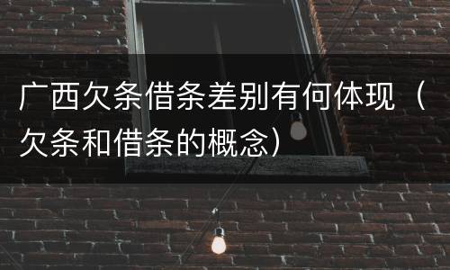 广西欠条借条差别有何体现（欠条和借条的概念）