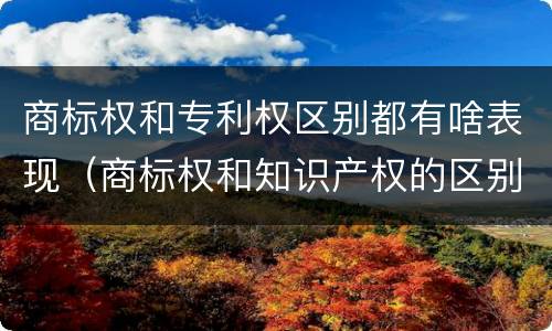 商标权和专利权区别都有啥表现（商标权和知识产权的区别）