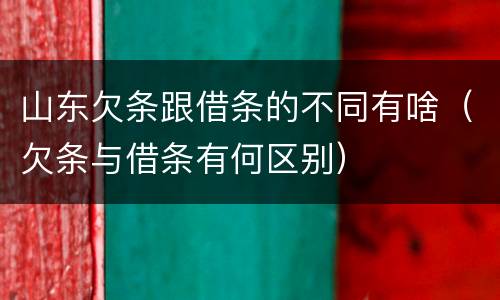 山东欠条跟借条的不同有啥（欠条与借条有何区别）