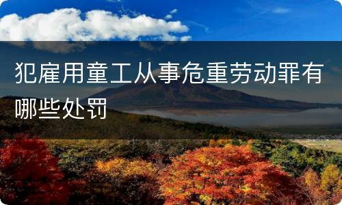 犯雇用童工从事危重劳动罪有哪些处罚