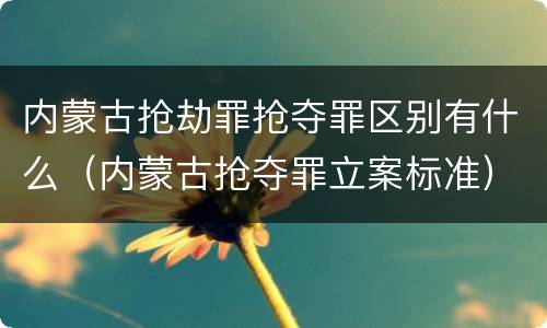 内蒙古抢劫罪抢夺罪区别有什么（内蒙古抢夺罪立案标准）