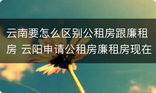 云南要怎么区别公租房跟廉租房 云阳申请公租房廉租房现在的什么地方
