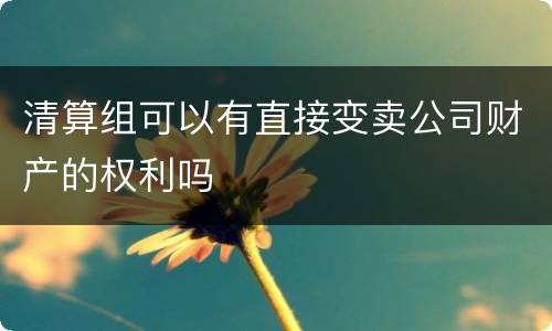 清算组可以有直接变卖公司财产的权利吗