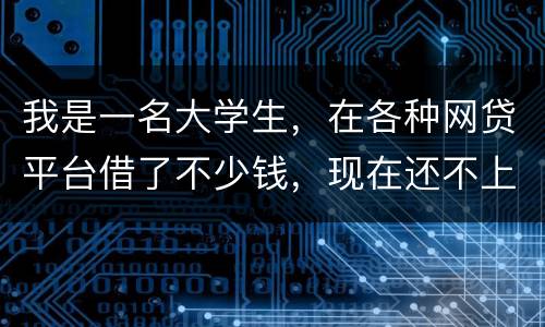 我是一名大学生，在各种网贷平台借了不少钱，现在还不上，如果不还会怎么样
