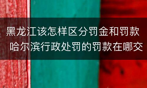 黑龙江该怎样区分罚金和罚款 哈尔滨行政处罚的罚款在哪交