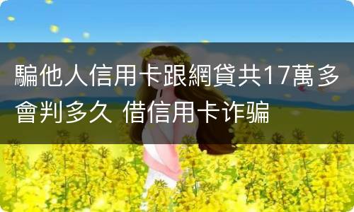騙他人信用卡跟網貸共17萬多會判多久 借信用卡诈骗