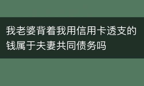 我老婆背着我用信用卡透支的钱属于夫妻共同债务吗