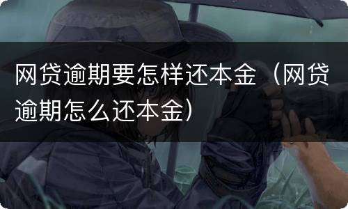 网贷逾期要怎样还本金（网贷逾期怎么还本金）