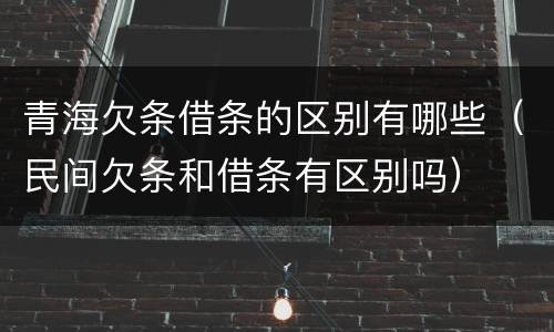 青海欠条借条的区别有哪些（民间欠条和借条有区别吗）
